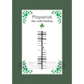 Fitzpatrick - Ogham Last Name