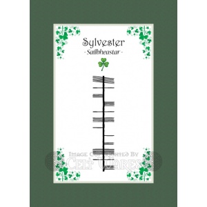 Sylvester - Ogham First Name