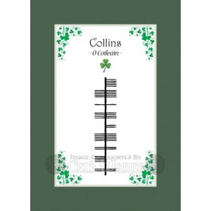 Collins - Ogham Last Name