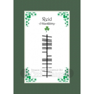 Reid - Ogham Last Name